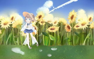 夏天的回忆歌词 夏天的回忆整首歌词