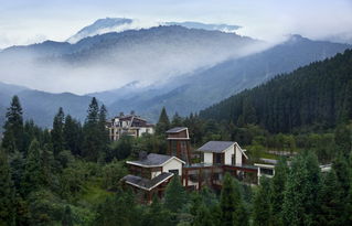 成都七里坪在什么位置?