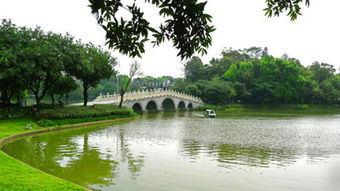 江门东湖公园要门票吗，江门东湖公园海滩