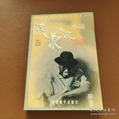 流浪汉小说是什么文学体裁?