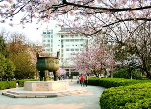 南京林业大学工业设计专业怎么样