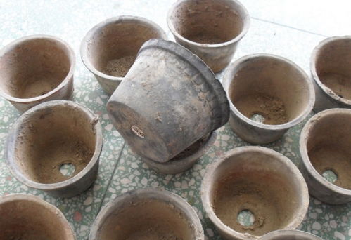 瓦盆可以用碳火烧吗