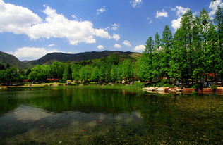 这边风景独好上一句怎么接的，这边风景独好作文400字