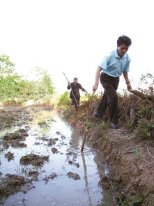 一个田两个土怎么读 一个田两个土如何读
