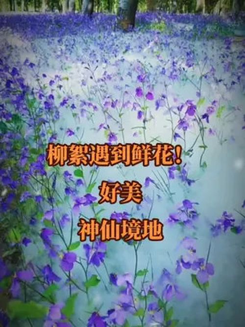 美就在身边作文700字，美就在身边作文开头和结尾