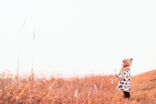 暖冬小说，暖冬蛋仔派对