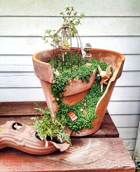 花盆的拼音怎么写的拼音，金鱼的拼音