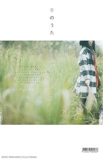 “暖冬”是什么意思?