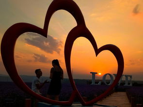 烦恼的近义词，烦恼的反义词 二年级