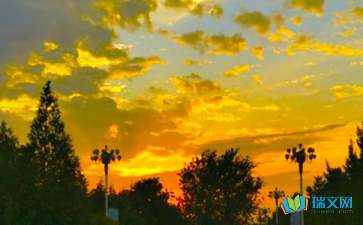 夏天的夜晚作文400字，夏天的夜晚作文450字左右