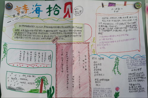 诗海拾贝手抄报图片 简笔画，诗海拾贝手抄报图片字多