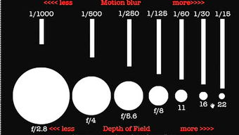 reciprocity as，reciprocitytimer 安卓版