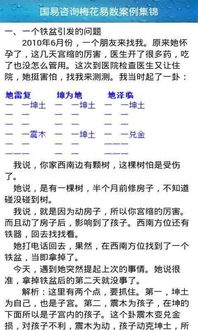 梅花易数排盘软件下载，灵儿梅花易数排盘