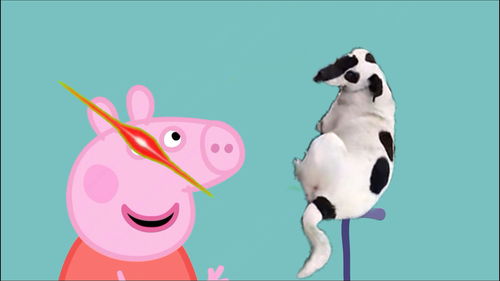 男生叫女生海盗狗是什么意思?