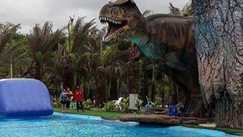 多奇白茶值得收藏吗?