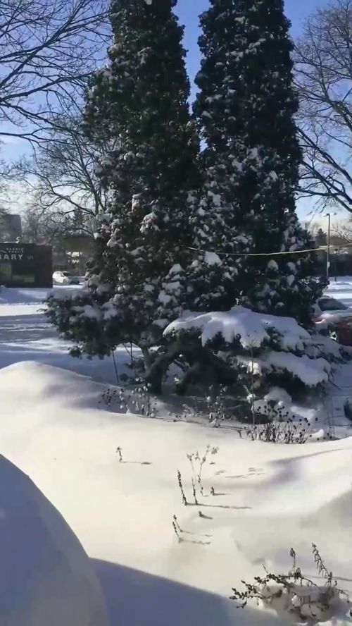 ( )的大雪,括号里填什么形容词