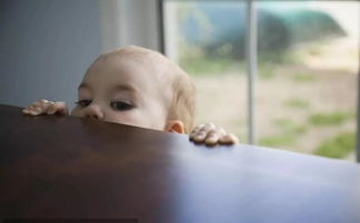 Peep是什么动物的叫声