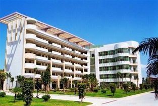 广州松田职业学院可以专升本吗