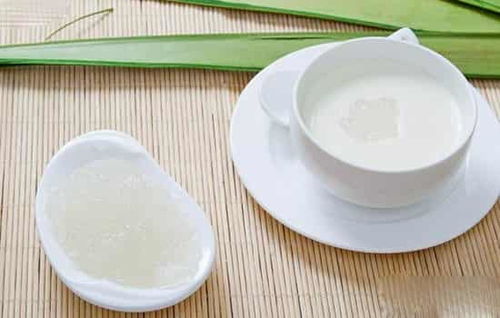 菟丝子是什么植物