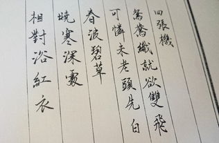 《神雕》中瑛姑绰号“四张机”是怎么意思?