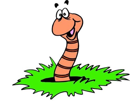 蚯蚓的蚯字怎么组词