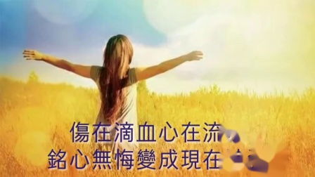 让你去飞翔什么歌，让你去飞让你去闯是什么歌