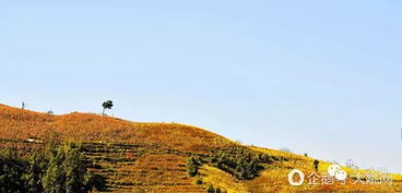 靠山吃山,靠水吃水，靠山吃山靠海吃海下句
