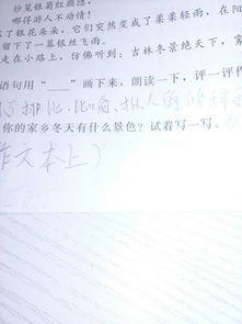 家乡的冬天200字作文范文