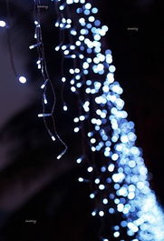 闪亮茗天，闪亮滴眼液的作用与功效