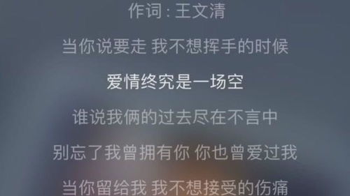 张惠妹卡门歌词，卡门歌词是什么意思